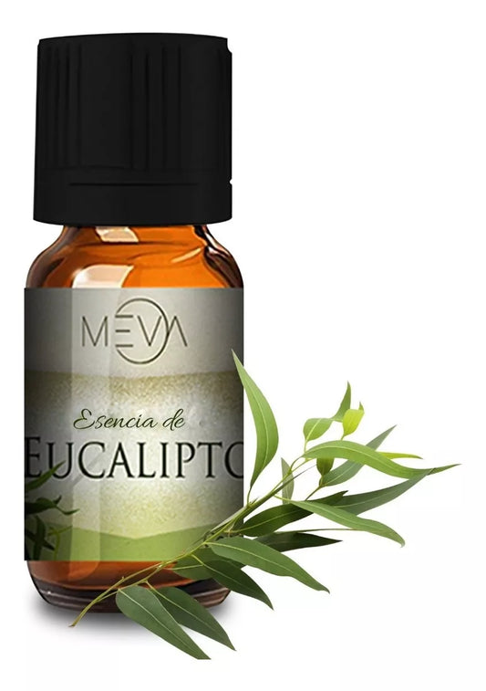 Aceite esencial Eucalipto