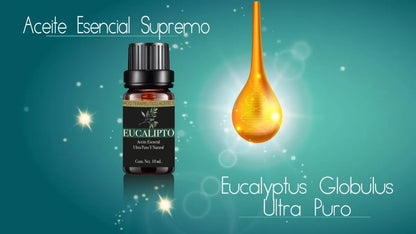 Aceite esencial Eucalipto